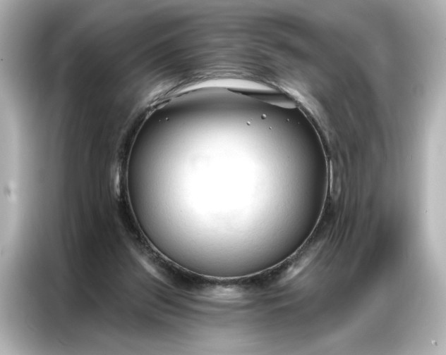 X0000086900157200704301024