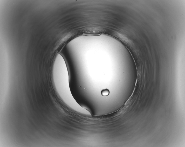 X0000086900158200704301024