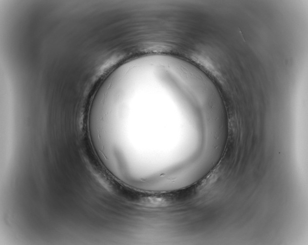 X0000086900159200704301024