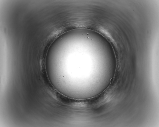 X0000086900161200704301024