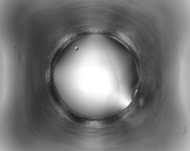 X0000086900163200704301024