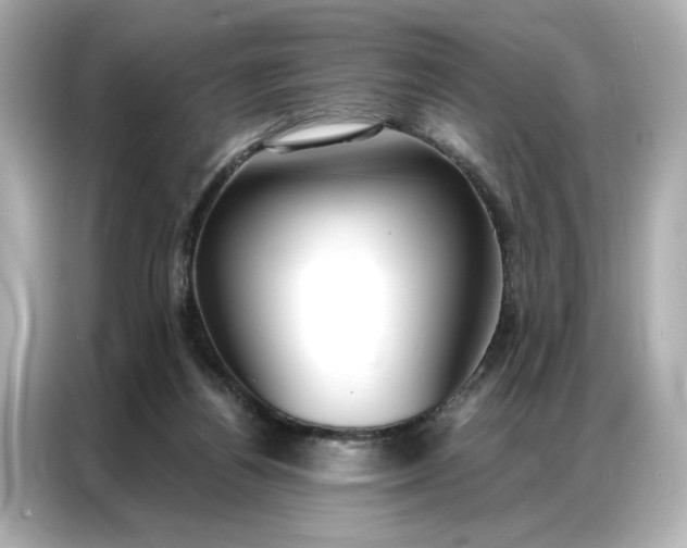 X0000086900164200704301024