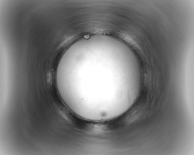 X0000086900165200704301024