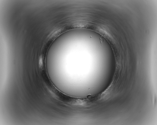 X0000086900166200704301024