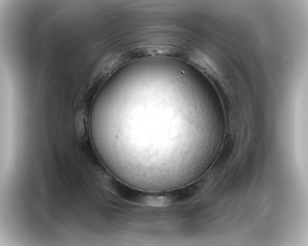 X0000086900169200704301024