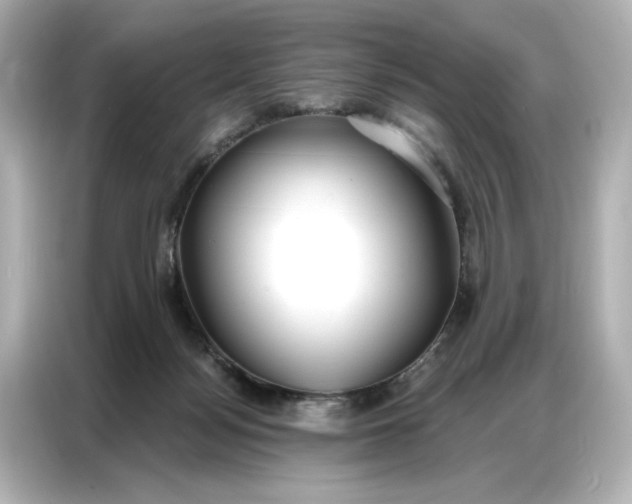 X0000086900172200704301024