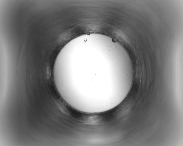 X0000086900173200704301024