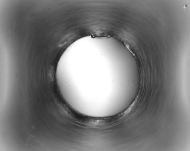 X0000086900174200704301024