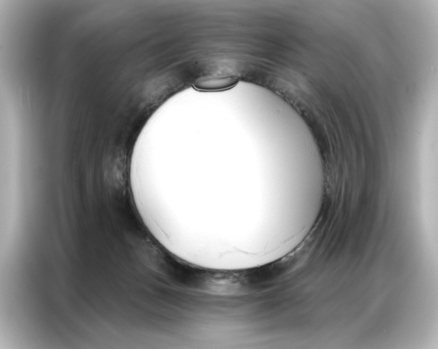 X0000086900175200704301024