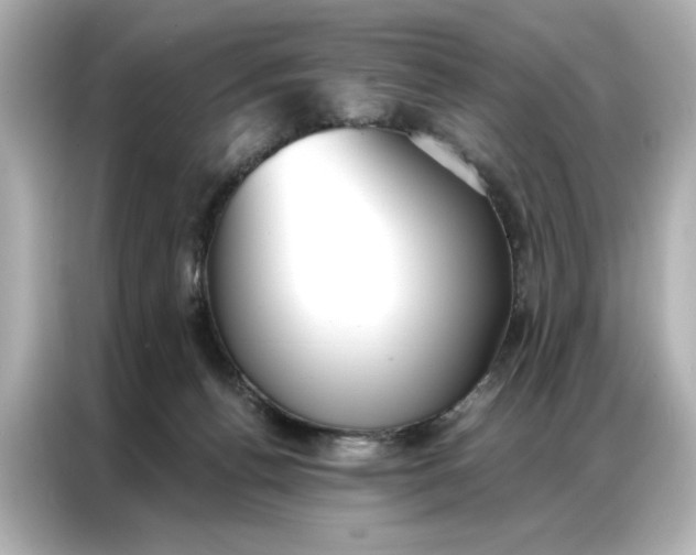 X0000086900176200704301024