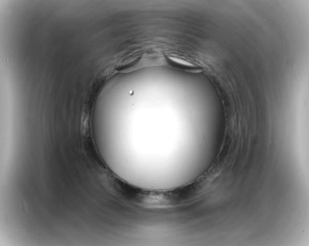 X0000086900177200704301024