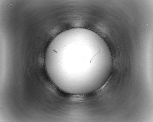 X0000086900179200704301024