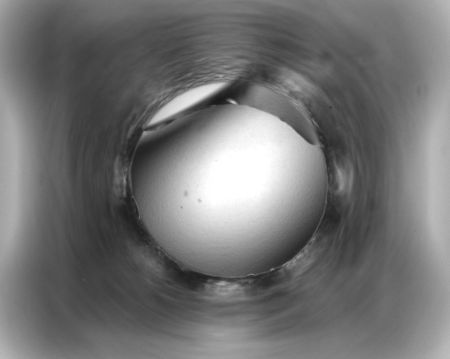 X0000086900180200704301024