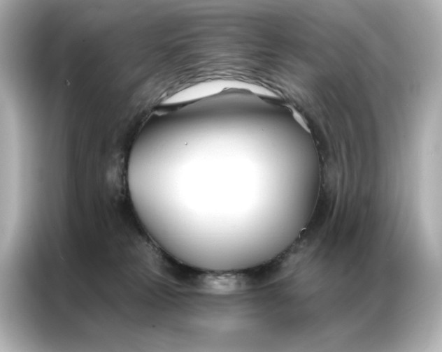 X0000086900181200704301024