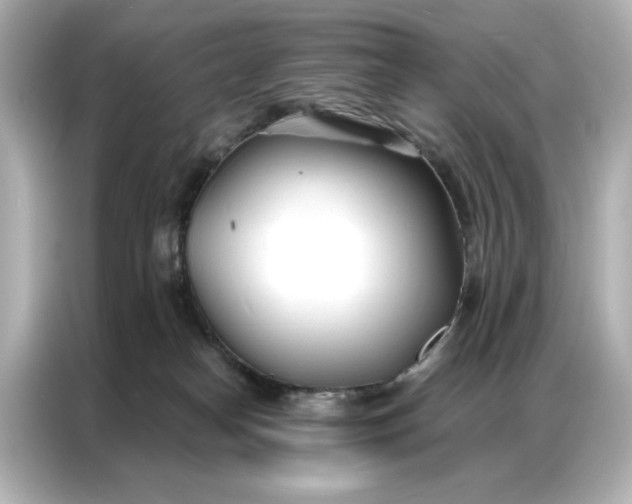 X0000086900182200704301024