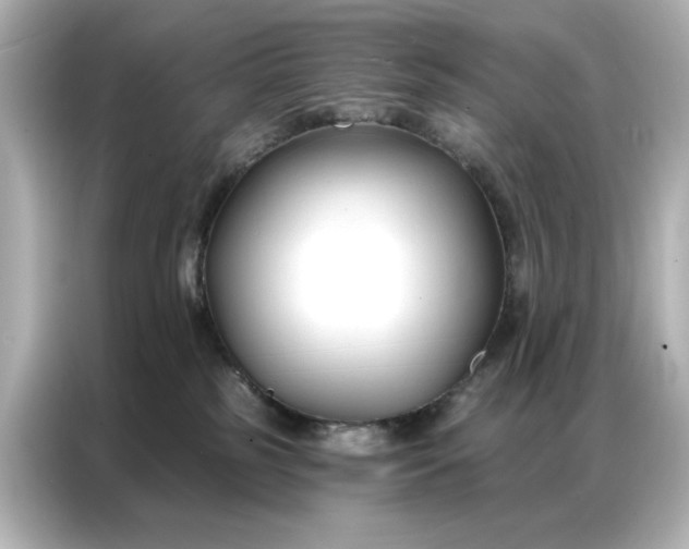 X0000086900185200704301024