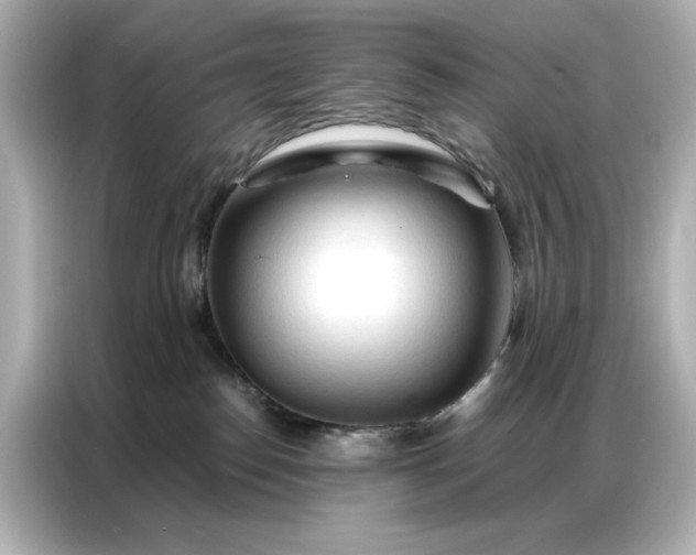 X0000086900186200704301024