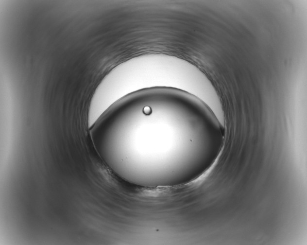 X0000086900190200704301024