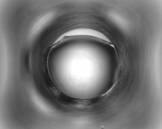 X0000086900191200704301024