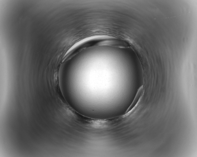 X0000086900192200704301024