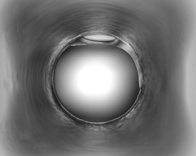 X0000086900193200704301024