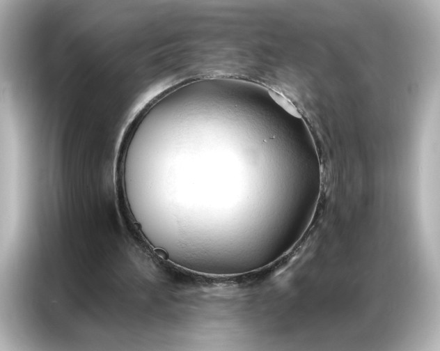 X0000086900196200704301024