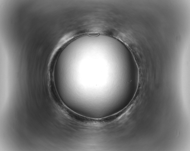 X0000086900198200704301024