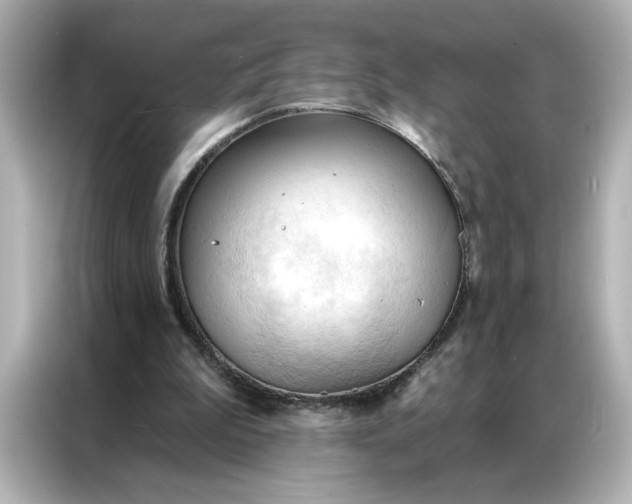 X0000086900199200704301024