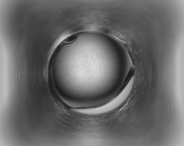 X0000086900200200704301024