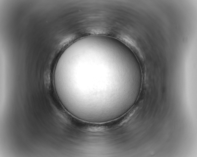 X0000086900202200704301024