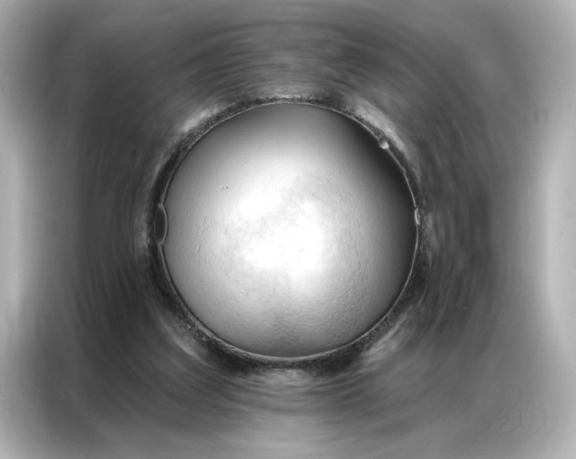 X0000086900203200704301024