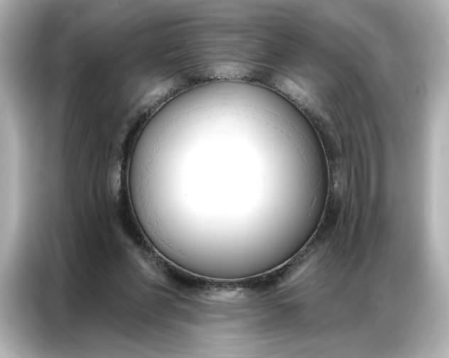 X0000086900206200704301024