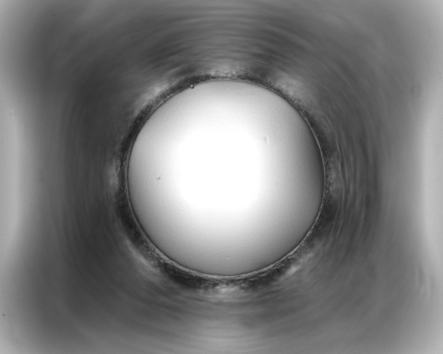 X0000086900208200704301023