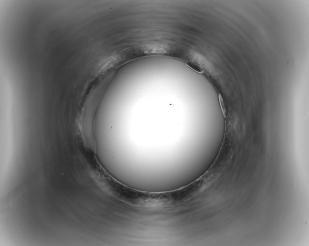 X0000086900209200704301023