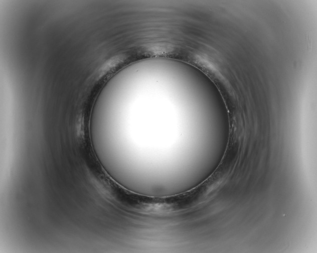 X0000086900212200704301023