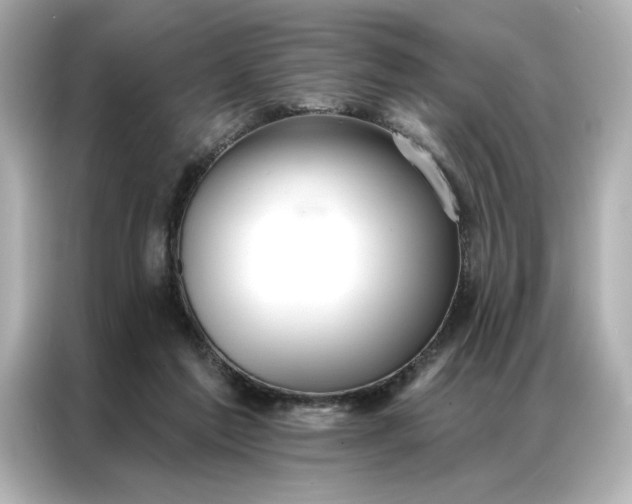 X0000086900213200704301023