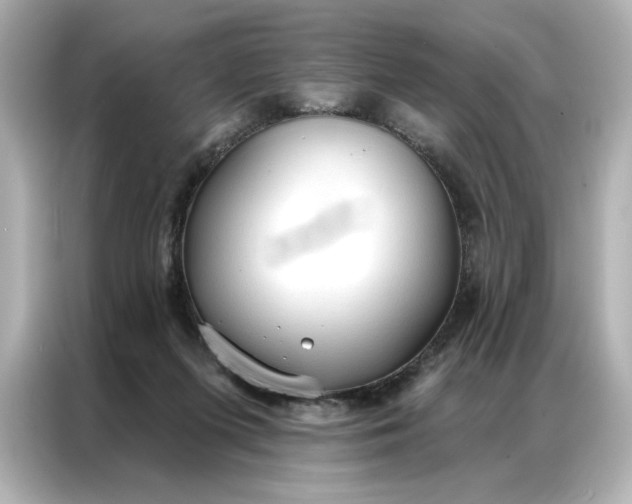 X0000086900215200704301023