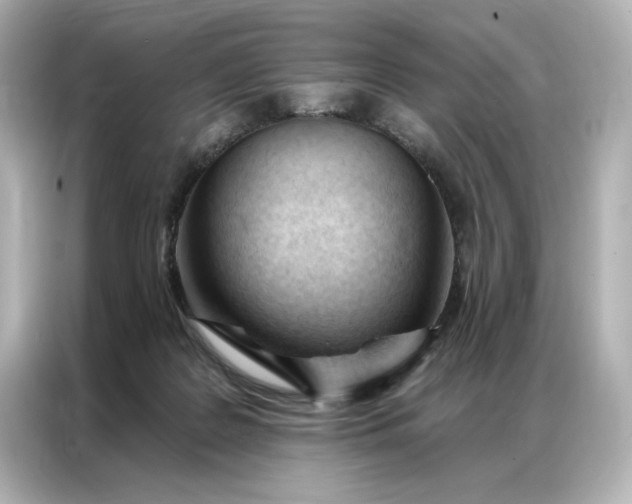 X0000086900219200704301023