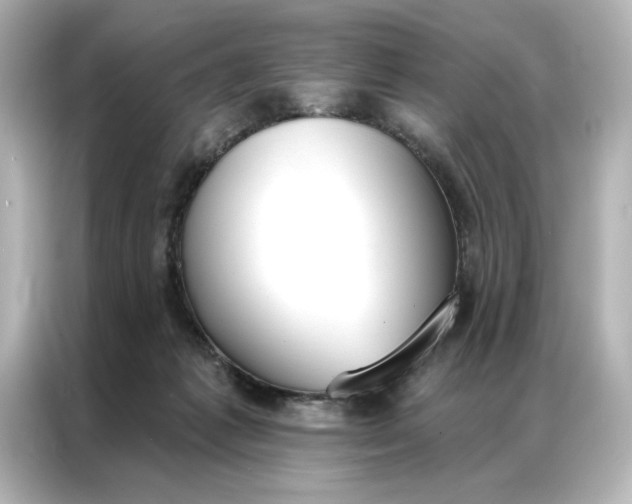 X0000086900221200704301023