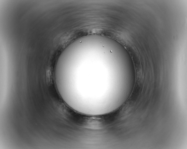 X0000086900222200704301023