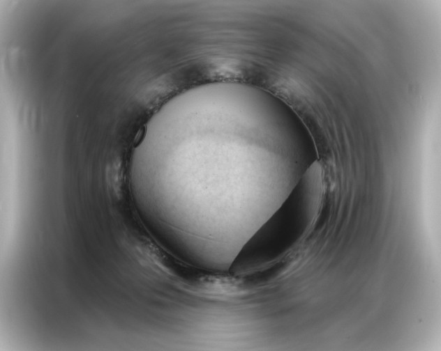 X0000086900223200704301023