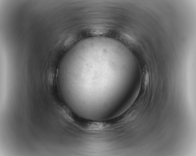 X0000086900227200704301023