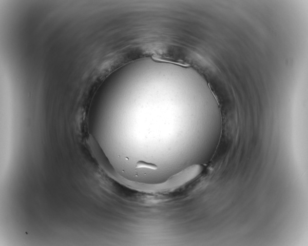 X0000086900229200704301023