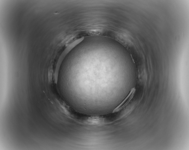 X0000086900231200704301023