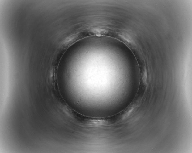 X0000086900233200704301023