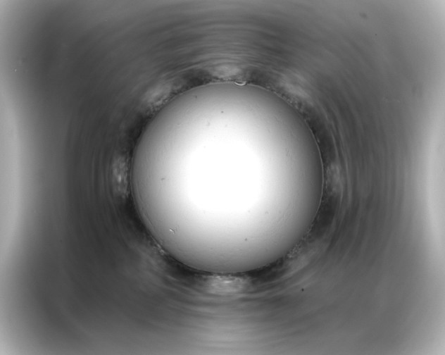 X0000086900234200704301023