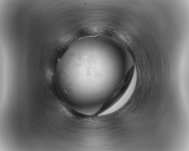 X0000086900235200704301023