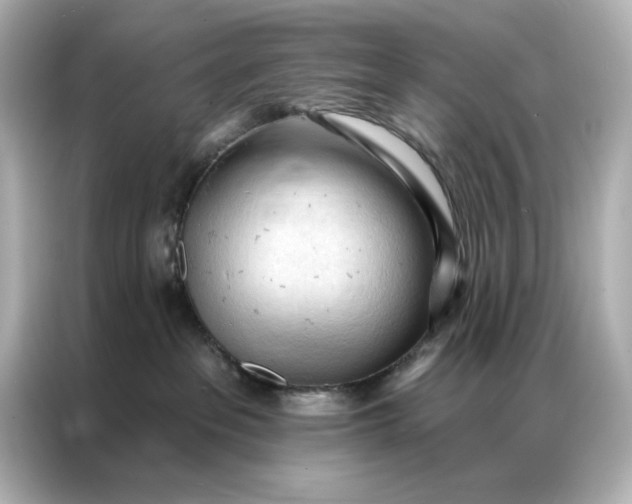 X0000086900237200704301023