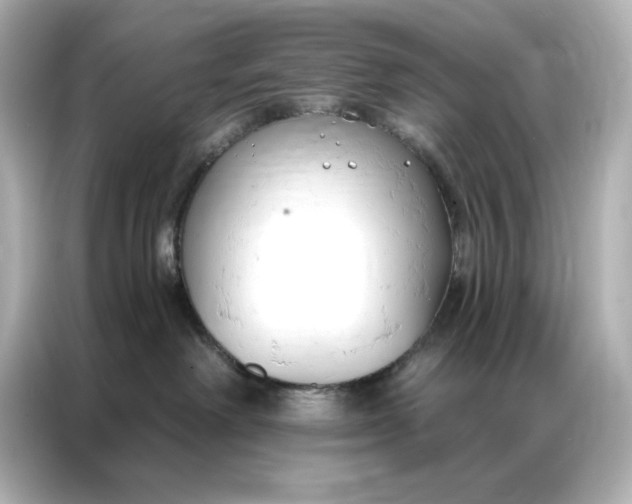 X0000086900238200704301023