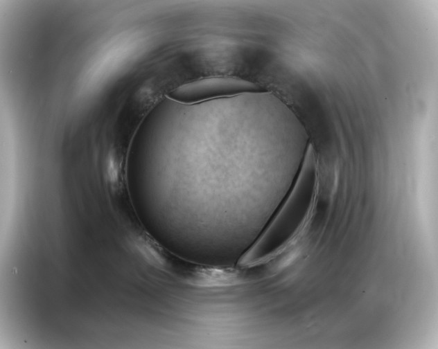 X0000086900239200704301023